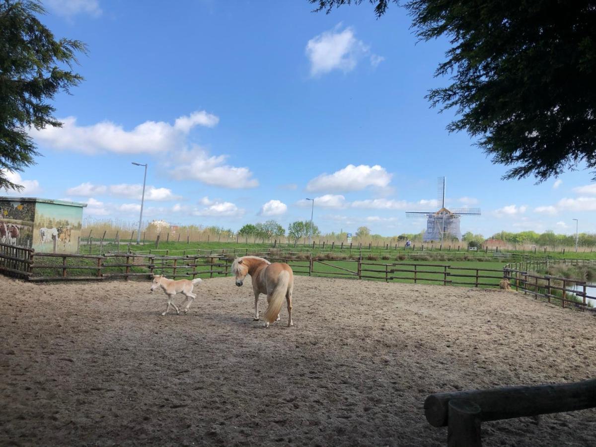 Chalet Aan De Rotte Rotterdam Esterno foto